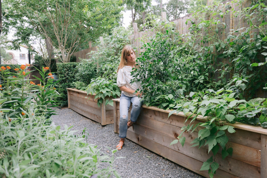 Growing : Fall/Winter Planting A Conversation with Nicole Burke